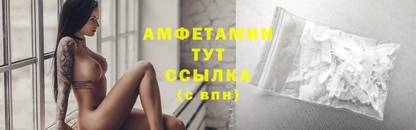 гашик Бежецк