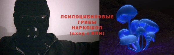 хмурый Белая Холуница