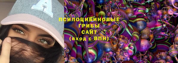 эйфоретик Михайлов