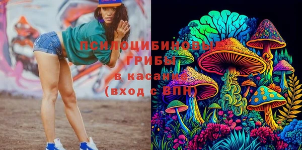 прущая мука Навашино