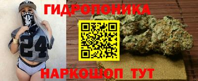 ГАЛЛЮЦИНОГЕННЫЕ ГРИБЫ Берёзовский